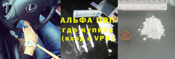 ECSTASY Богородицк