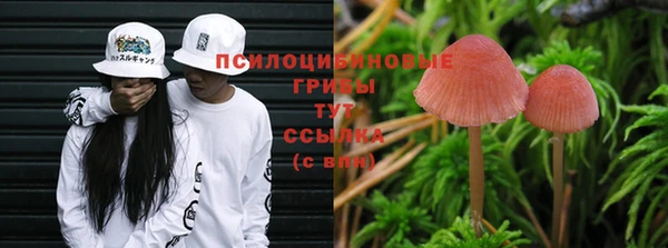МДПВ Беломорск