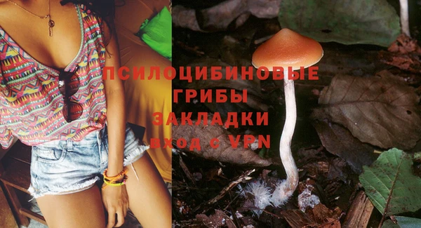 ГАЛЛЮЦИНОГЕННЫЕ ГРИБЫ Белоозёрский