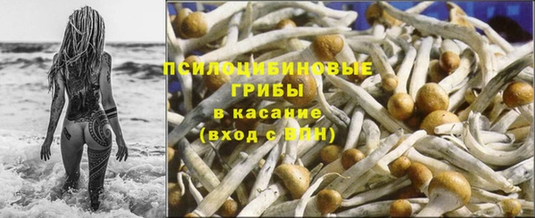 мет Богданович